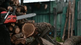 A man cuts firewood with a chainsaw. - Powered by Shutterstock - Get 15% off with code: PIKWIZARD15