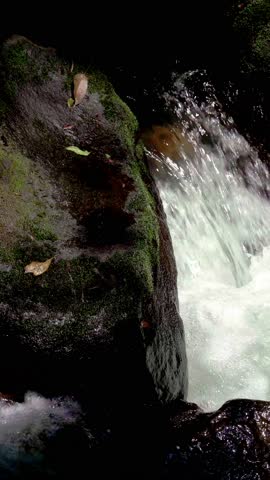 Rushing stream through rocky forest canyon
