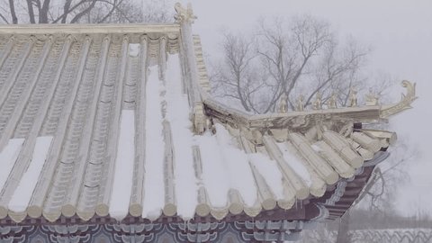 Close View Golden Chinese Temple Roof Covered