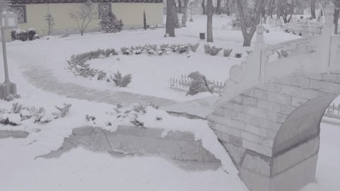 Arched Stone Bridge Dragon Detail Winter Chinese