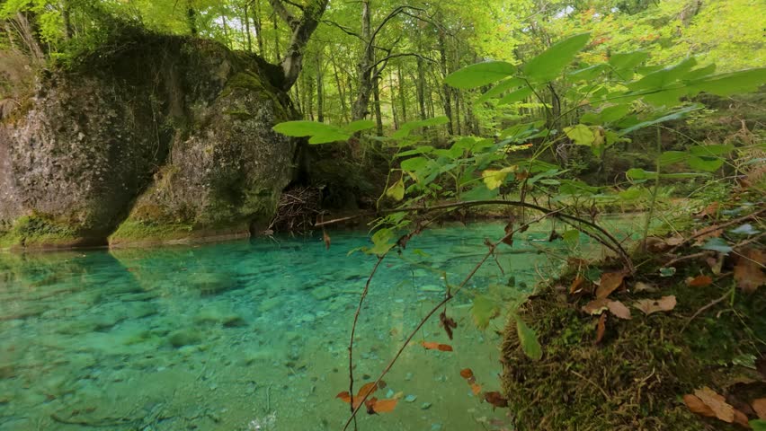 Emerald green pool and lush forest in Nacedero del Urederra, Baquedano Navarra, untouched turquoise waters, enchanting canyon, peaceful 4K autumn landscape for nature stock, Spain landmark


