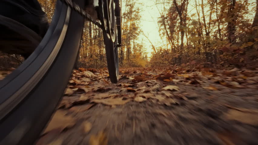 A cyclist rides along a winding forest path covered in colorful autumn leaves. The bike's wheels spin quickly, propelling the rider forward as the sun sets, illuminating the vibrant scenery
