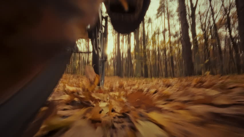 A cyclist rides a bicycle along a forest trail covered in colorful autumn leaves. Leaves fly up from under the front wheel as the sun shines through the trees