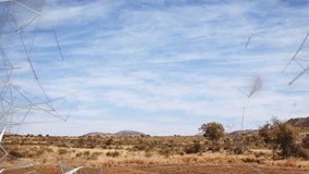 Wireframe clusters drifting in sunlit plain outlining heart shape while pink stars orbit forming. Digital art, abstract, shimmering, futuristic, celestial, ambient, minimalistic - Powered by Shutterstock - Get 15% off with code: PIKWIZARD15