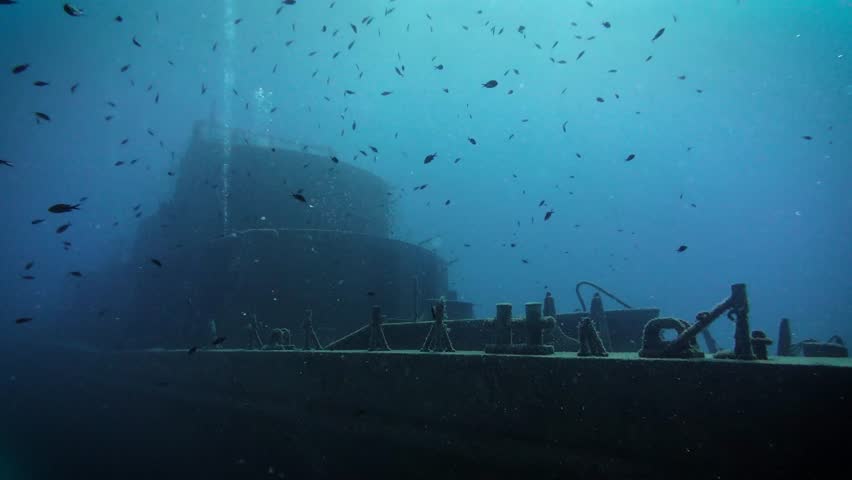 Swimming away from a deep ship wreck that sits on the sea floor near Malta Gozo while surrounded by schooling fish