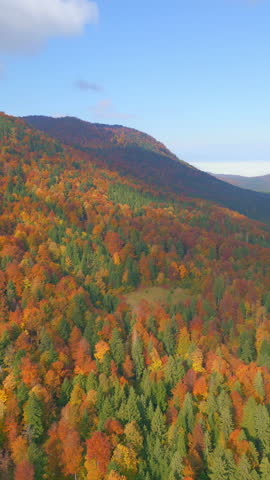 Breathtaking autumn landscape with vibrant orange, red, and green foliage. A forested mountain ridge stretches across the horizon under a clear blue sky.