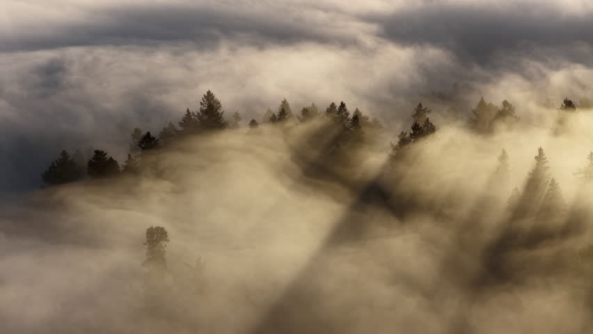 Early morning mist drifts through a forested Pacific Northwest landscape near Portland, Oregon. Fog and mist forms when moist air cools to its dew point, causing water vapor to condense.
