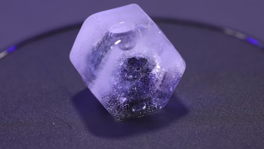 Time-lapse footage of melting ice over blueberries at macro scale.