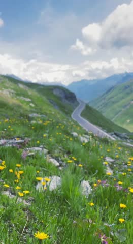 a beutiful view from swiss nature