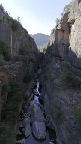 Lush greenery of the canyon as seen from a drone. High quality photo