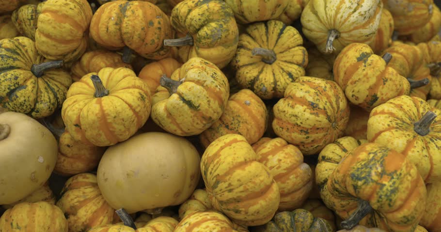 Autumn harvest still life: top view of pumpkins and squashes in a rustic wooden basket close up.