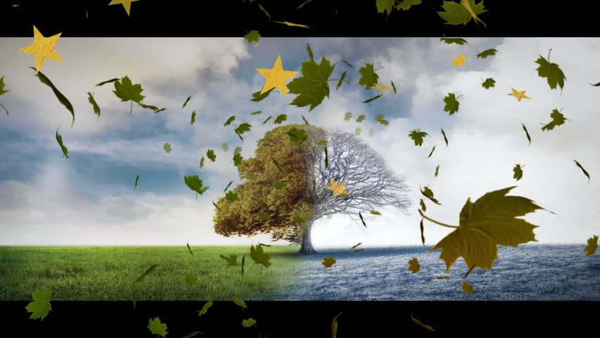 Leaves and stars floating in, swirling around central tree over grass-water showing seasonal change. Nature, serenity, transition, harmony, abstraction, digital art, visual effects