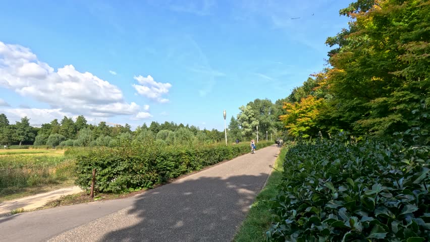 Person cycling on a sunlit path surrounded by greenery, blue sky, and tranquil countryside landscape