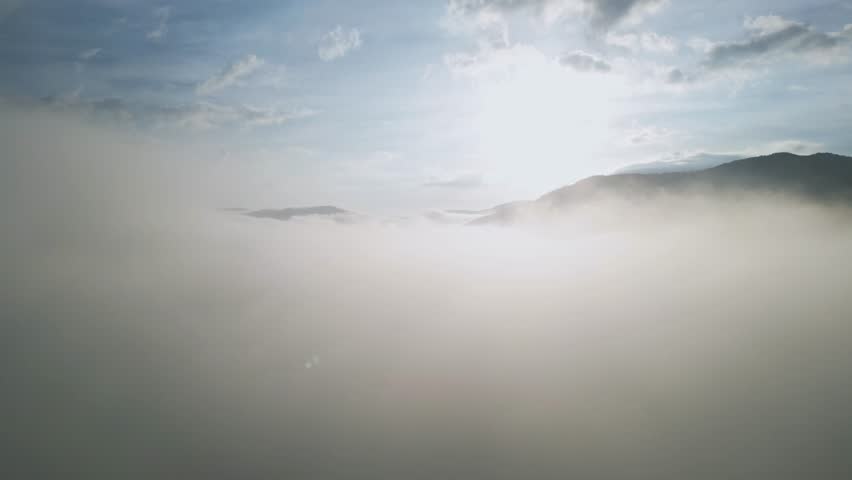 fog above the Taiga forest in the morning 