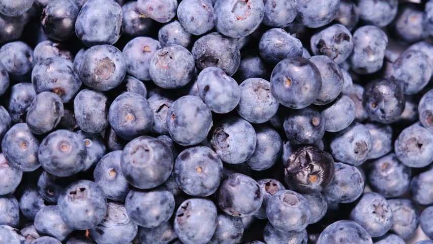 Macro video of fresh blueberries rotating in close-up, highlighting plump berries and their deep blue color and texture
