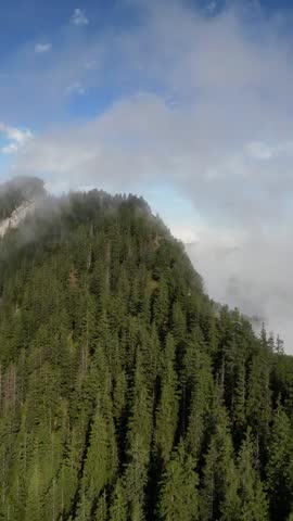 Fog covered valley Switzerland Friedlispitz Swiss Alps alpine forest nature highland