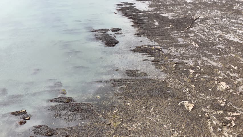 Overcast daylight pans across textured rocky shoreline, tide pools, and shallow water at low tide