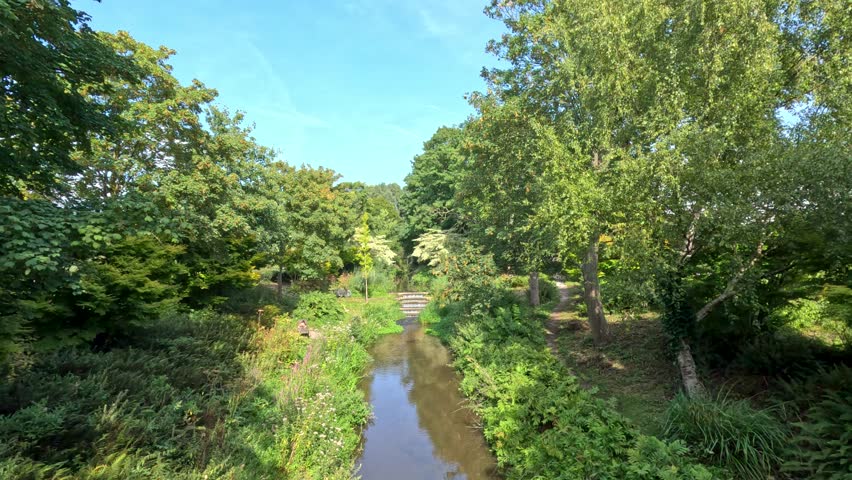 Static wide shot of tranquil canal, dense trees, and summer foliage under bright daylight