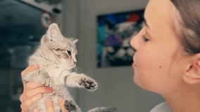Beautiful smiling veterinarian girl with a kitten. Happy young woman holding a little kitten. Animal shelter help concept or veterinary clinic. - Powered by Shutterstock - Get 15% off with code: PIKWIZARD15