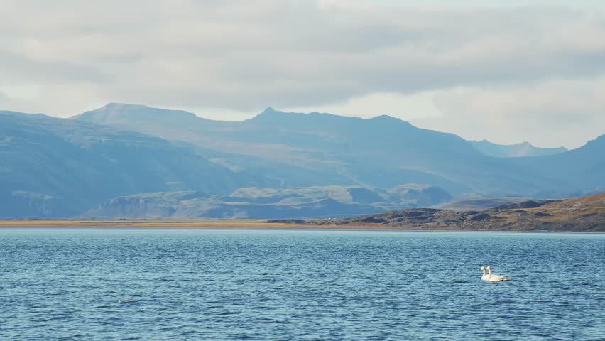 A serene shot of a lake in Iceland, with majestic mountains forming a dramatic backdrop under a cloudy sky