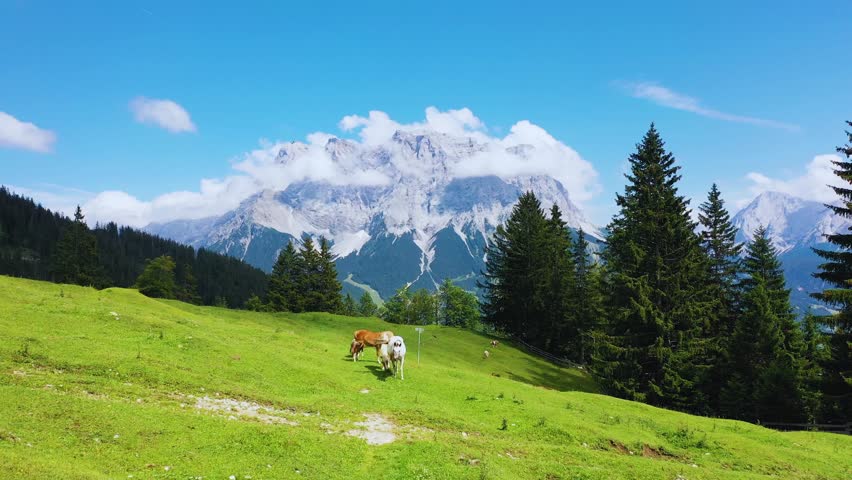 Horses grazing on Austrian Alps slopes with the Zugspitze mountain and dramatic clouds. Majestic alpine wilderness and pastoral harmony.