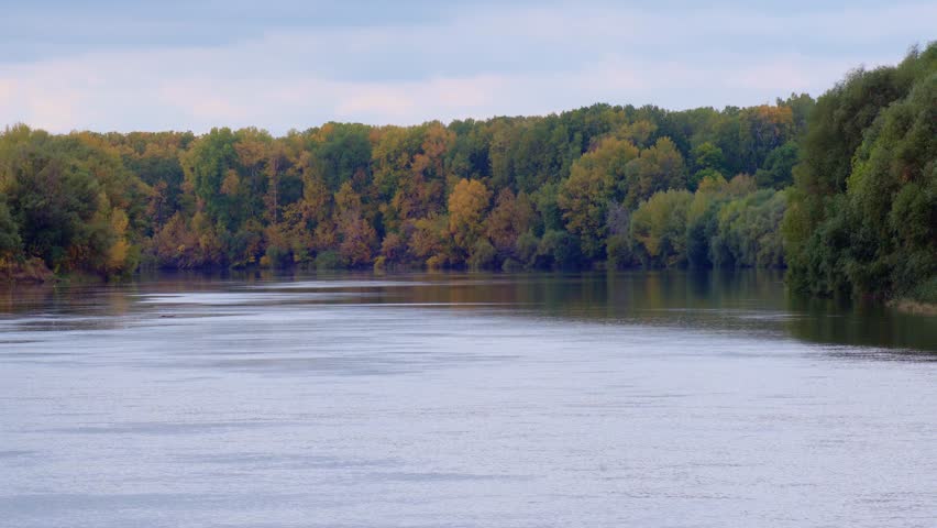 river and forest, beautiful autumn landscape, yellow leaves on trees, cloudy weather

