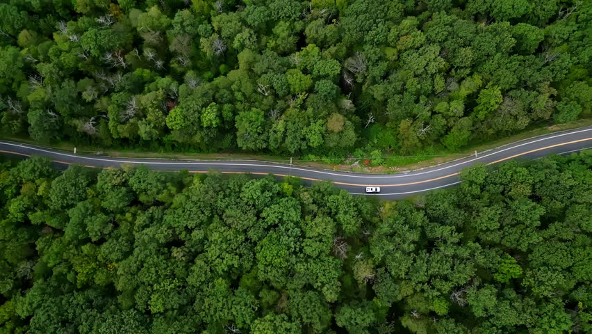 Vehicles Traveling - Mohawk Trail Scenic Road In Massachusetts, USA - Drone Shot