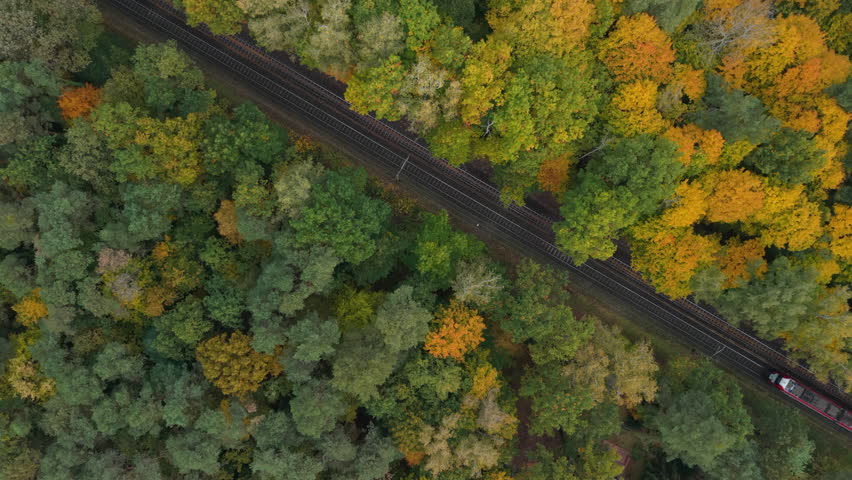 Aerial view of an electric train in an autumn forest.