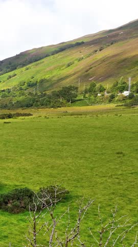 Aerial camera glides above green meadow, revealing river, trees, rolling hills, and bright daylight