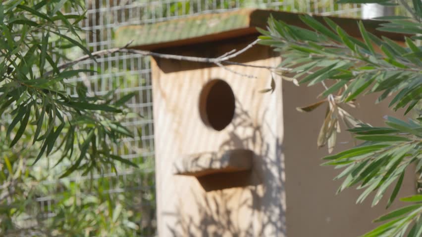 Animal hut in an enclosure