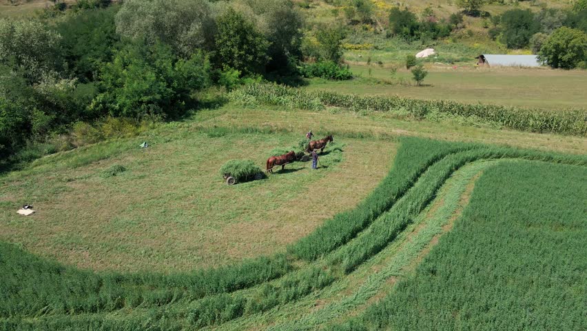 Two farmers are seen loading freshly harvested hay onto a horse-drawn cart in a picturesque valley surrounded by lush greenery on a sunny summer day