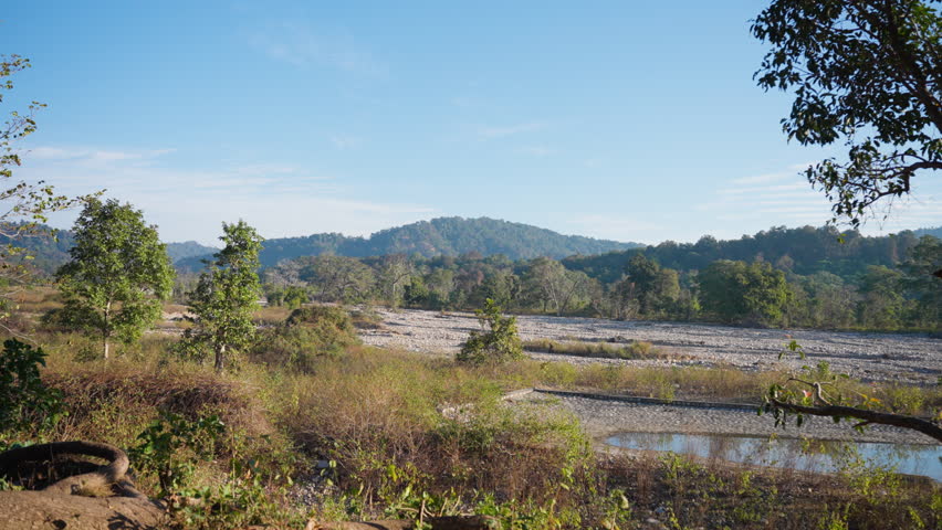 Sunrise over forest calmness in Jim Corbett National Park landscape