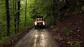 Cinematic Aerial Journey Through Misty Forest Road – Mysterious Car Drive in Wild Nature, Drone Footage with Fog and Trees - Powered by Shutterstock - Get 15% off with code: PIKWIZARD15