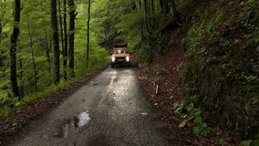 Cinematic Aerial Journey Through Misty Forest Road – Mysterious Car Drive in Wild Nature, Drone Footage with Fog and Trees - Powered by Shutterstock - Get 15% off with code: PIKWIZARD15