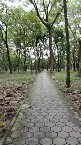 A peaceful brick path winding through a serene park or forest, surrounded by tall trees and bright green undergrowth. Natural landscape