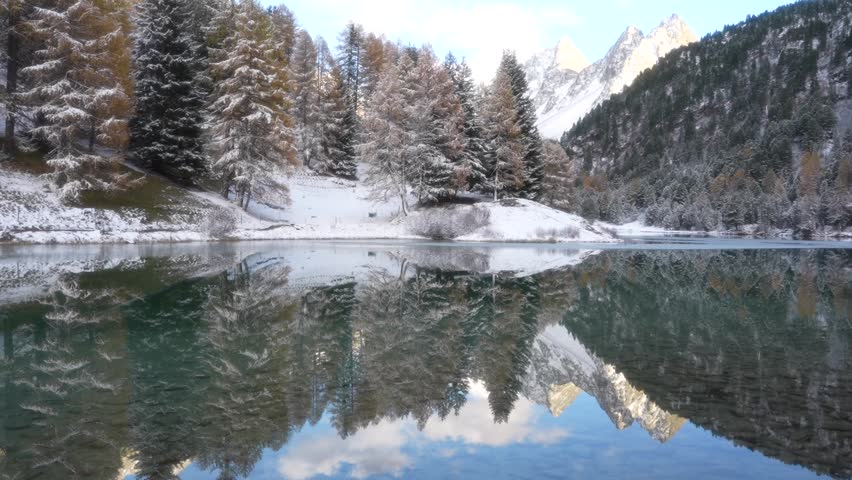 View of the Upper Engadin valley. Golden larch forests contrast with deep blue lakes and snow-capped Swiss Alps. The scene captures the beauty of the high altitude autumn in Switzerland.