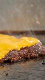 Slow Motion sizzle of a Smash Burger on the Grill - Dubai UAE - Powered by Shutterstock - Get 15% off with code: PIKWIZARD15