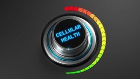 Animated knob showing cellular health level rising from green to red. Ideal for biology, health, and wellness projects. - Powered by Shutterstock - Get 15% off with code: PIKWIZARD15