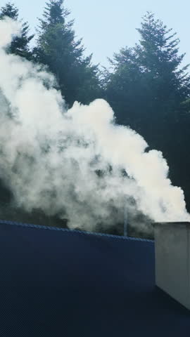 Stream of white smoke rises slowly from chimney of house spreading faint smell of burning wood. House stands in middle of forest. Vertical shot