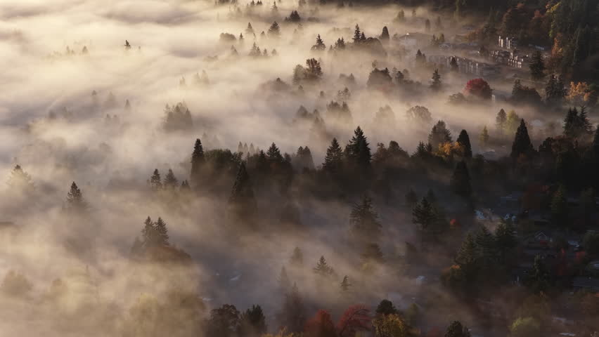 Early morning mist drifts through a forested Pacific Northwest landscape near Portland, Oregon. Fog and mist forms when moist air cools to its dew point, causing water vapor to condense.