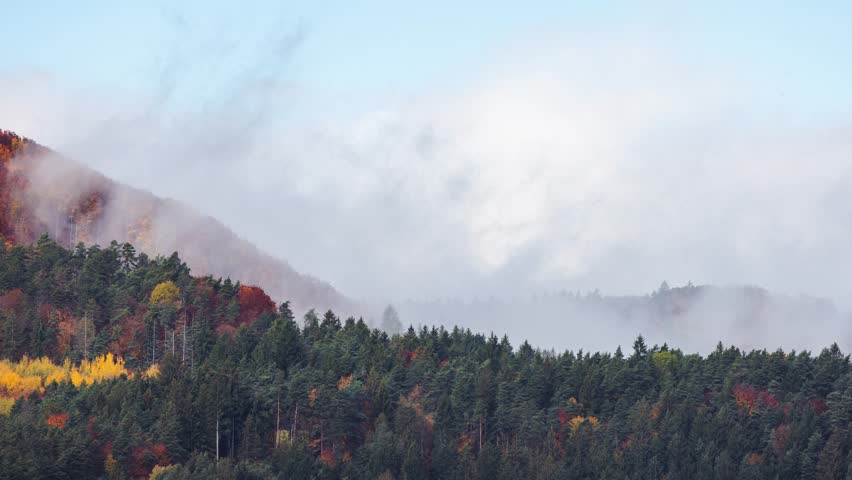 A mountain hillside, shrouded in mist and fog, is covered with vibrant autumn colors in a forest of green trees, creating an awe-inspiring vista. Timelapse footage. - Powered by Shutterstock - Get 15% off with code: PIKWIZARD15