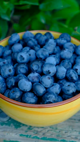 Blueberry harvest in the hands of a farmer. Selective focus.