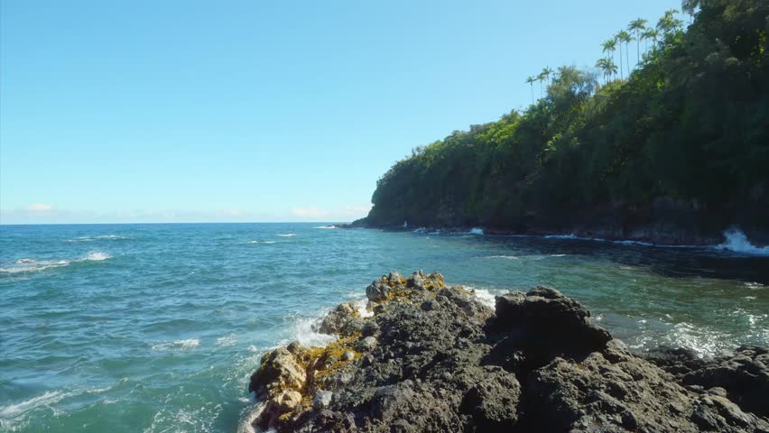 Footage capturing the breathtaking coastal beauty of Onomea Bay, adjacent to the Hawaii Tropical Botanical Garden. Features lush tropical vegetation, dramatic cliffs, crashing ocean waves against volc