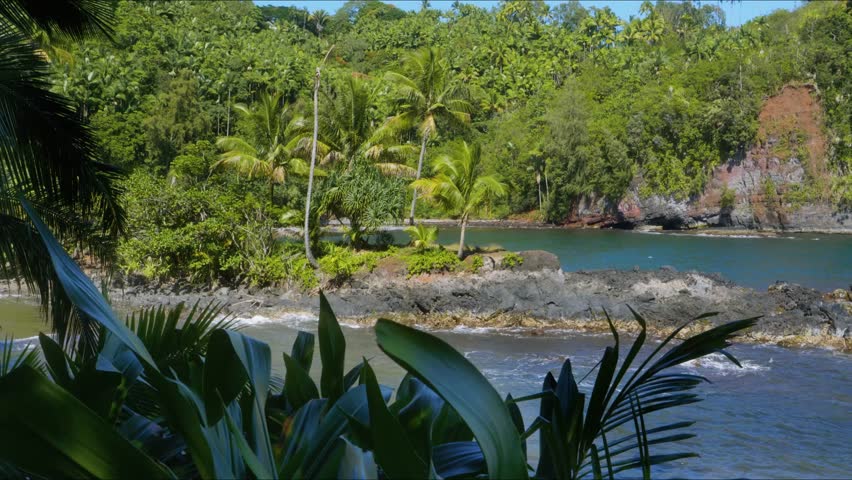 Hawaii Tropical Botanical Garden, nestled along the stunning Onomea Bay on the Big Island. This footage captures the vibrant tropical rainforest, diverse plant collections, and dramatic ocean views, s