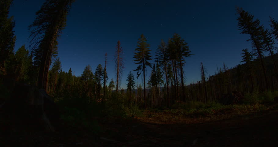 A dramatic night timelapse of star trails spinning above a pine forest in Yosemite National Park, California. Moonlight and distant light trails add motion to this tranquil natural scene in 4K. 