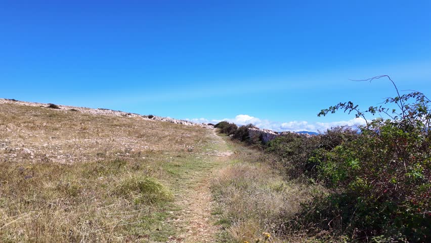 Sunny trail with stone wall and blue skies.