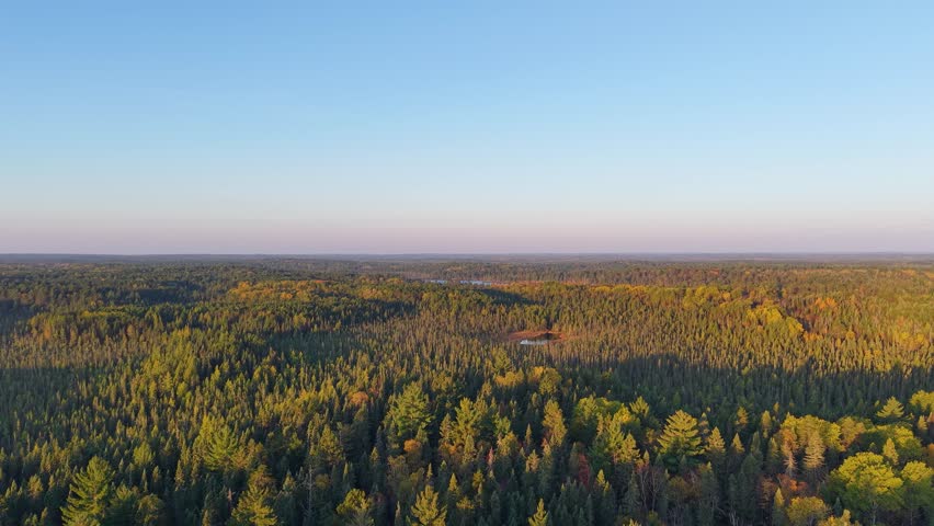 MINNESOTA - 10.31.2025 - Gorgeous aerial footage moving over a vast Minnesota forest with lakes.