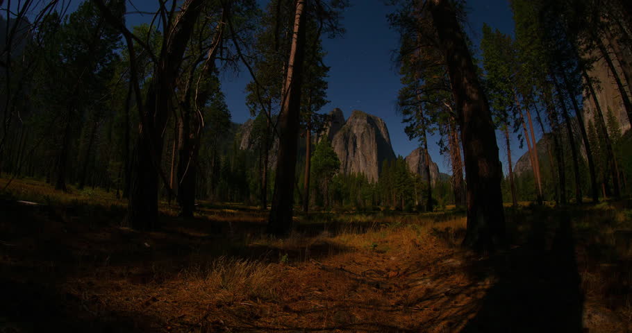 A mesmerizing timelapse of stars streaking across a moonlit night sky above Yosemite Valley. Towering pine trees frame massive granite cliffs under clear, tranquil light. Dramatic moonshadows. 