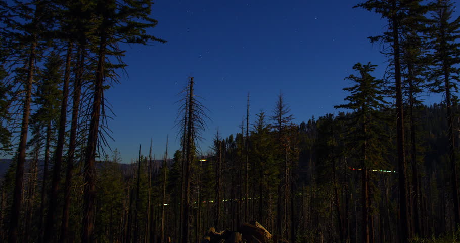 A captivating night timelapse of star trails spinning above a pine forest in Yosemite National Park, California. Moonlight and distant light trails add motion to this tranquil natural scene.