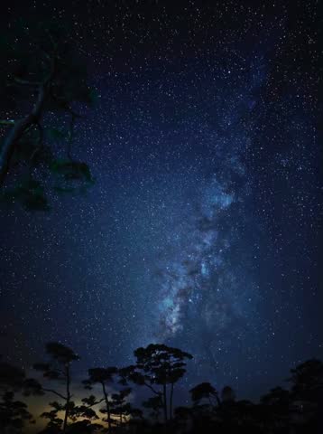 Nature and stars at a beautiful night